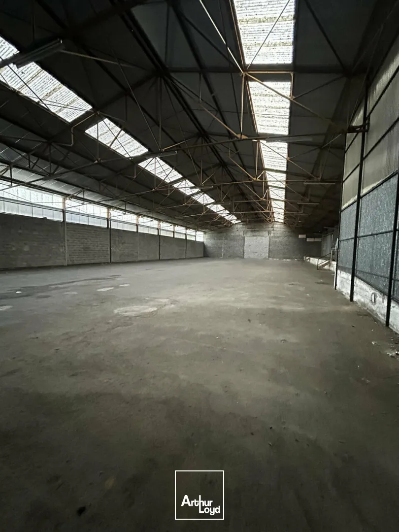 Bureaux - Location - BRIVE-LA-GAILLARDE - 19100 - 1230-1230 - 7794338