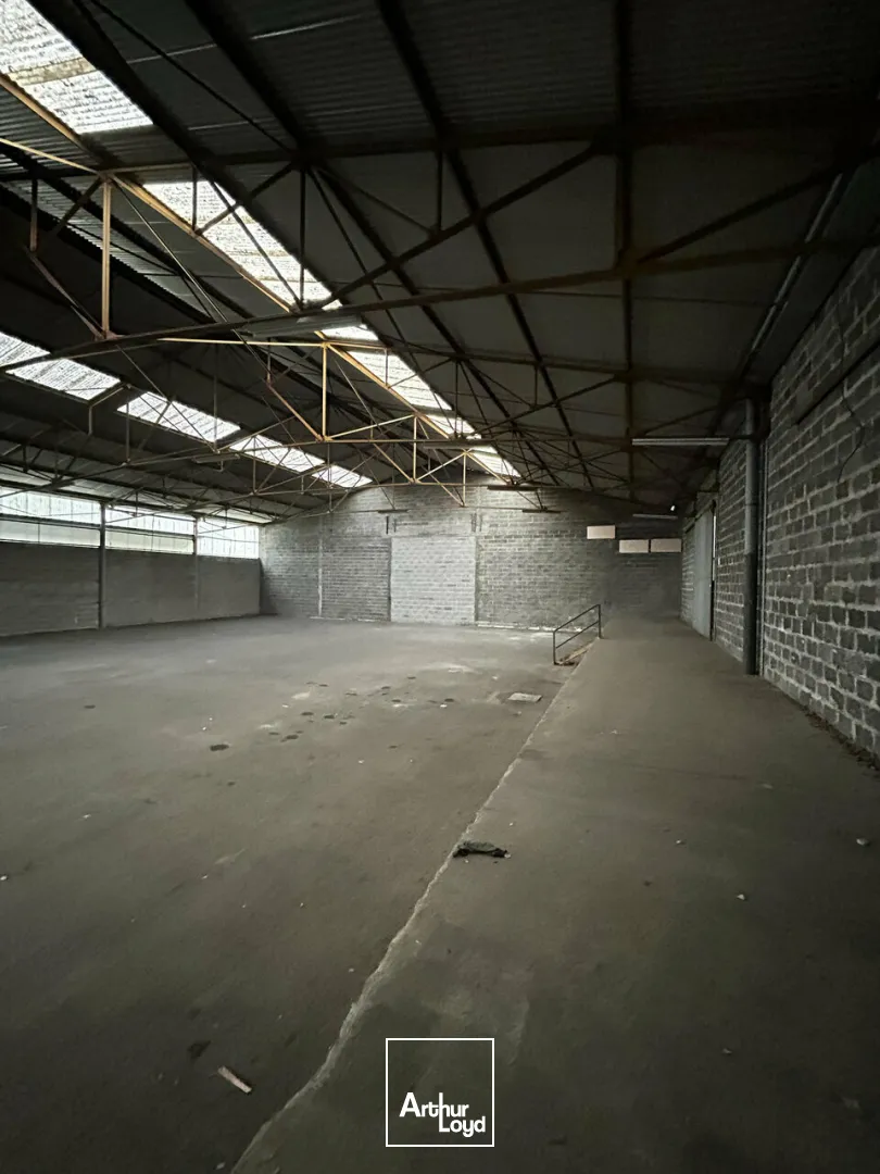Bureaux - Location - BRIVE-LA-GAILLARDE - 19100 - 1230-1230 - 7794344