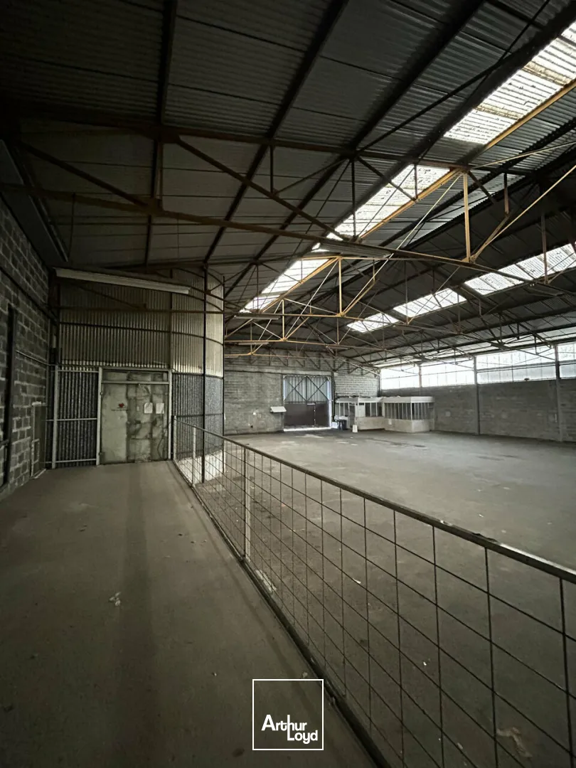 Bureaux - Location - BRIVE-LA-GAILLARDE - 19100 - 1230-1230 - 7794345