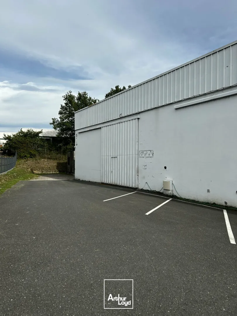 Bureaux - Location - BRIVE-LA-GAILLARDE - 19100 - 1230-1230 - 7794347