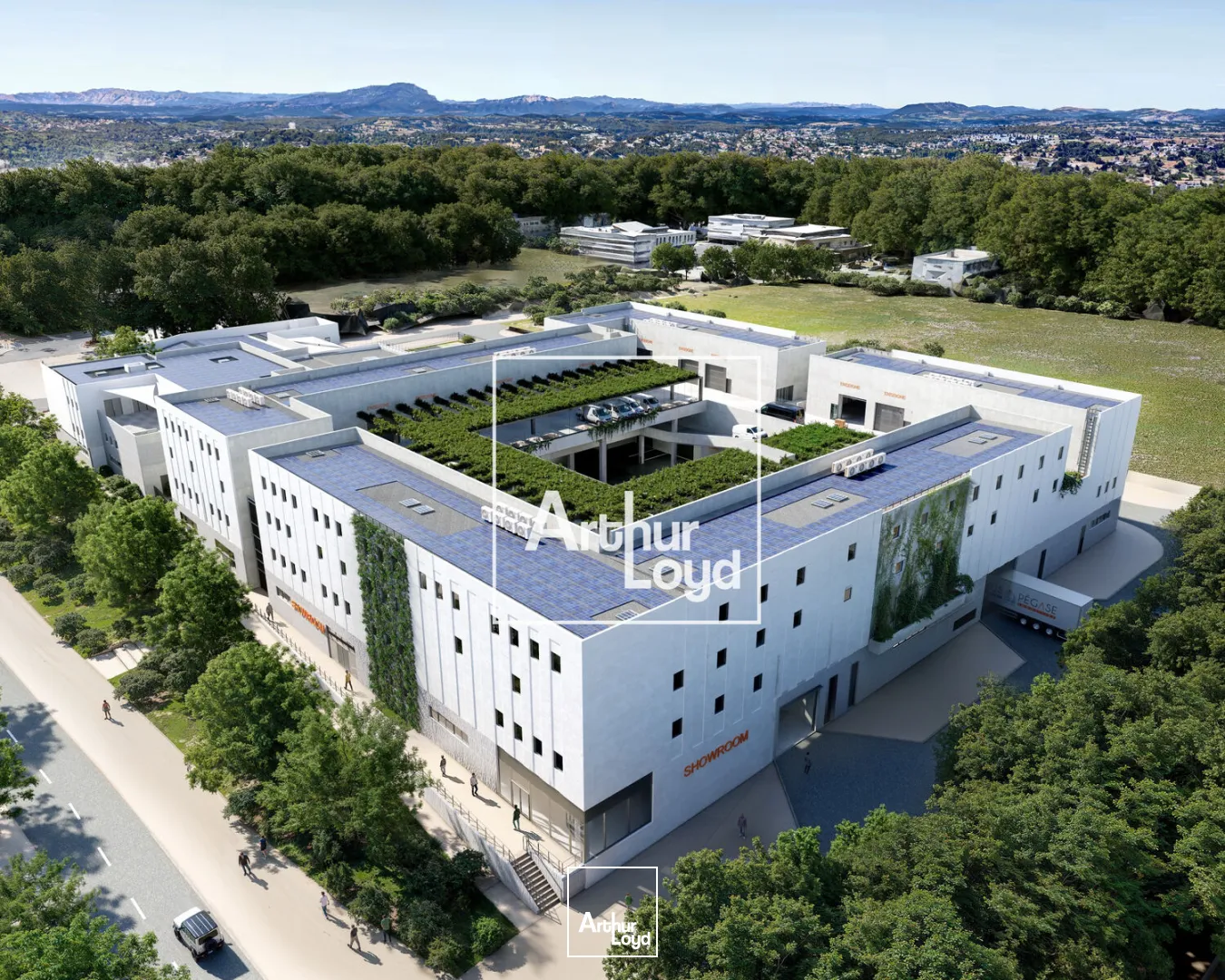 Locaux d'activité & Entrepôts - Location - CASTELNAU LE LEZ - 34170 - 267-4357 - 7794666