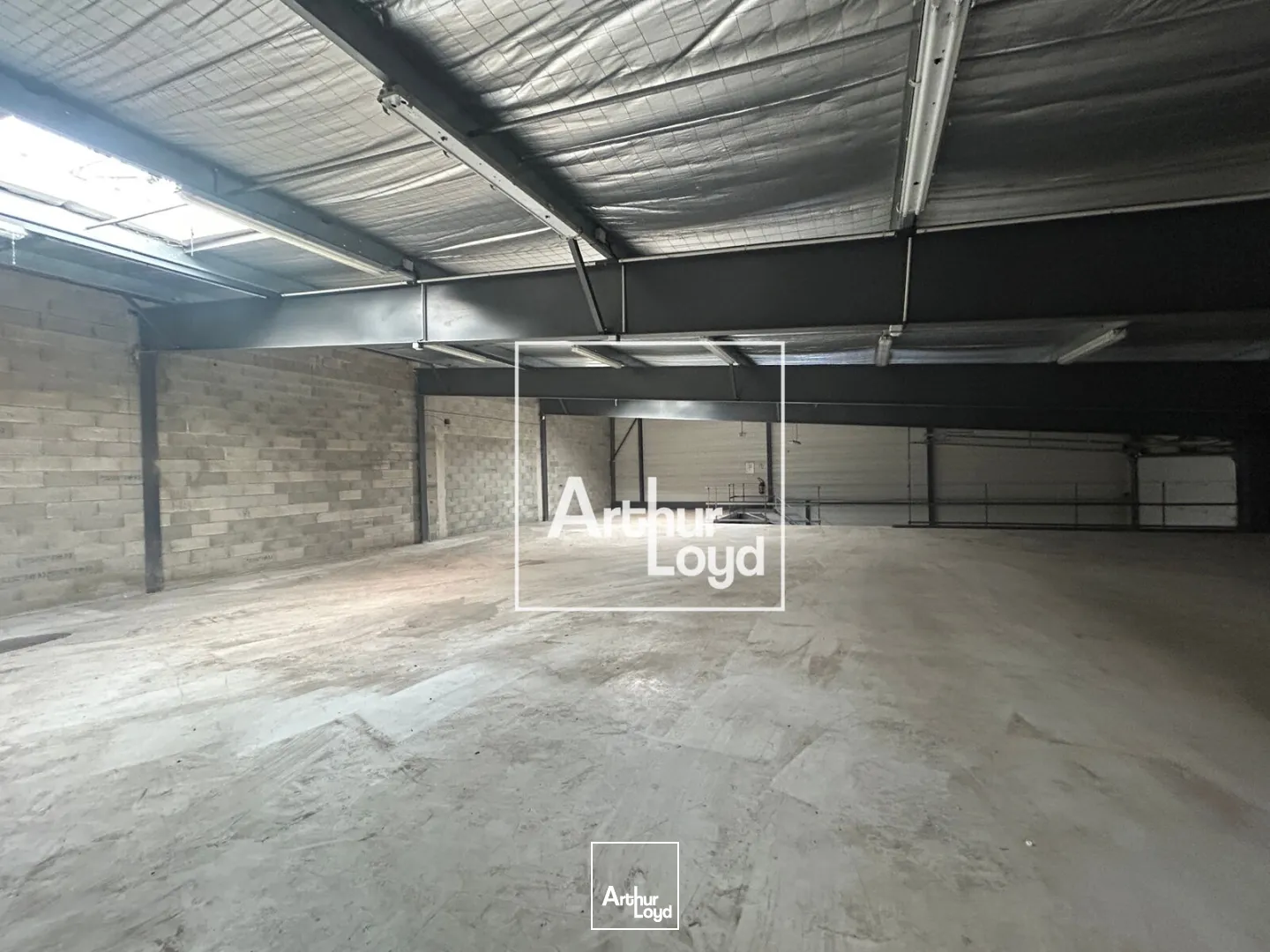 Locaux d'activité & Entrepôts - Vente - SAINT JEAN DE VEDAS - 34430 - 2316-2316 - 7794671