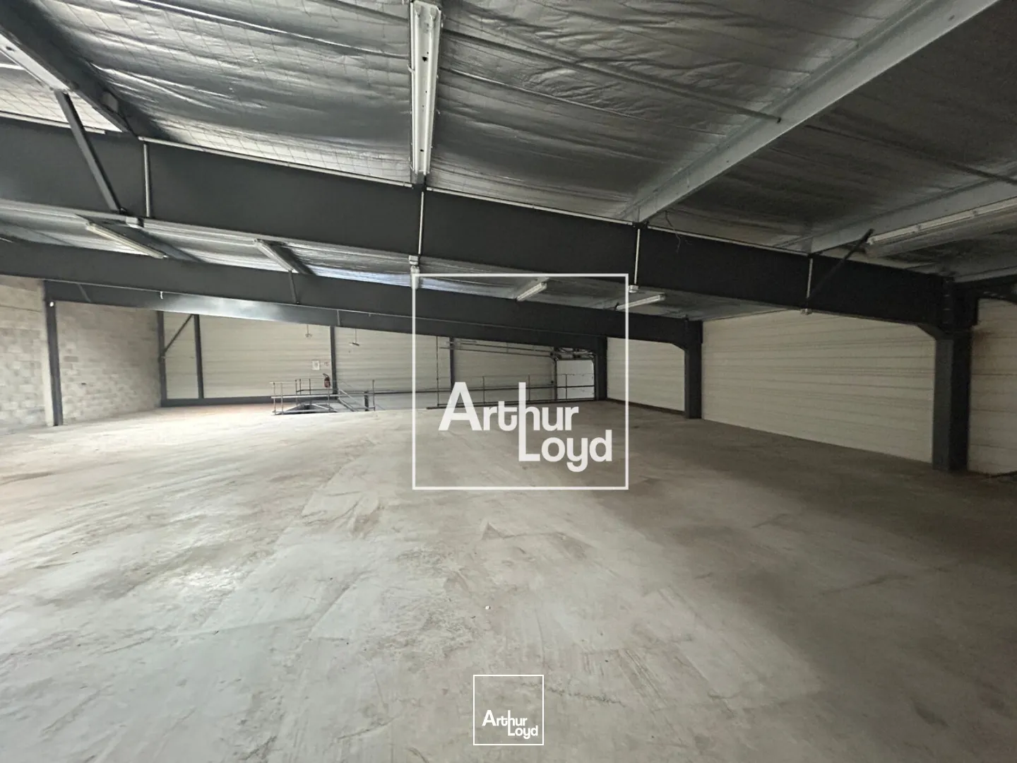 Locaux d'activité & Entrepôts - Vente - SAINT JEAN DE VEDAS - 34430 - 2316-2316 - 7794672