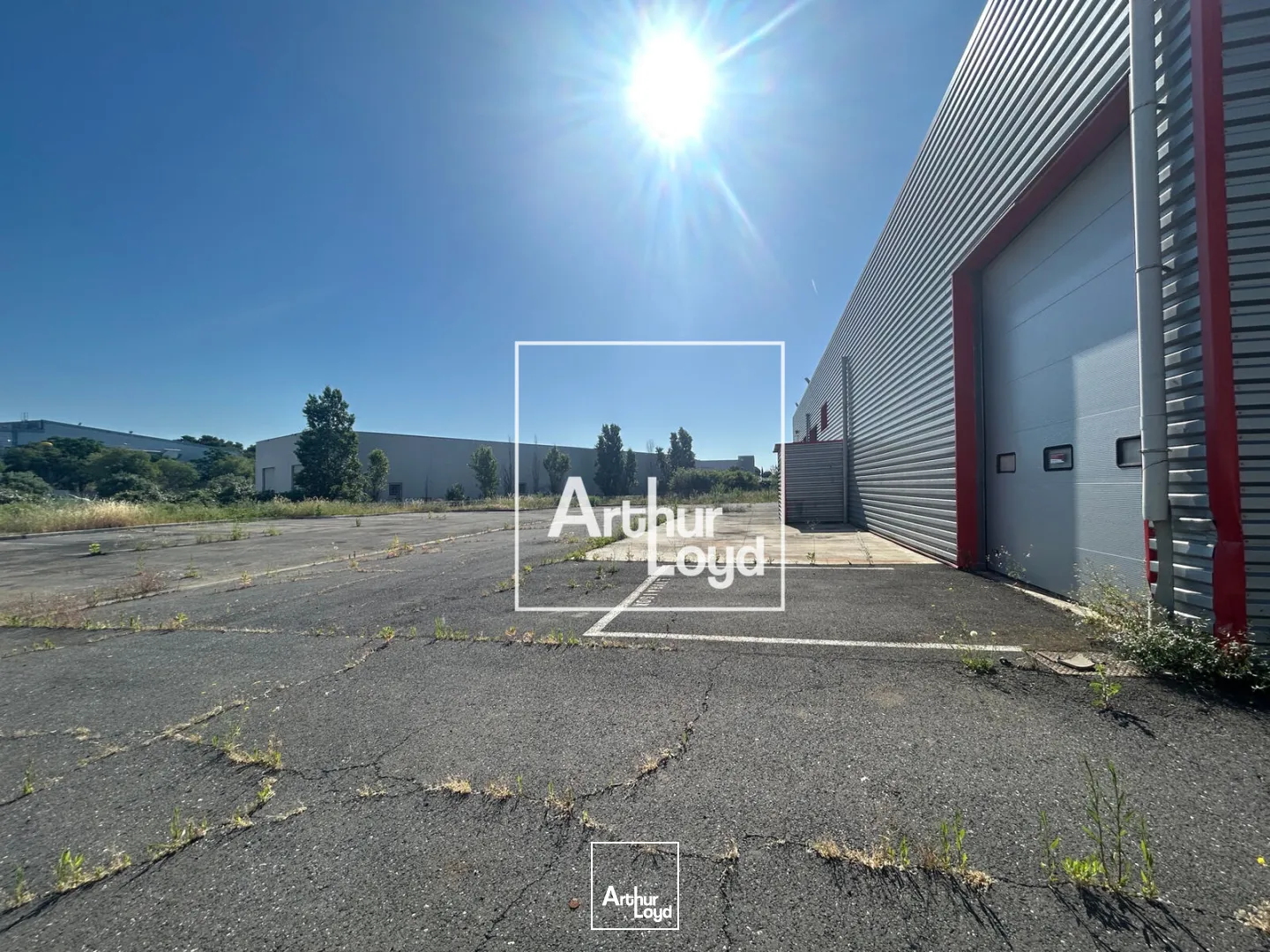 Locaux d'activité & Entrepôts - Vente - SAINT JEAN DE VEDAS - 34430 - 2316-2316 - 7794669