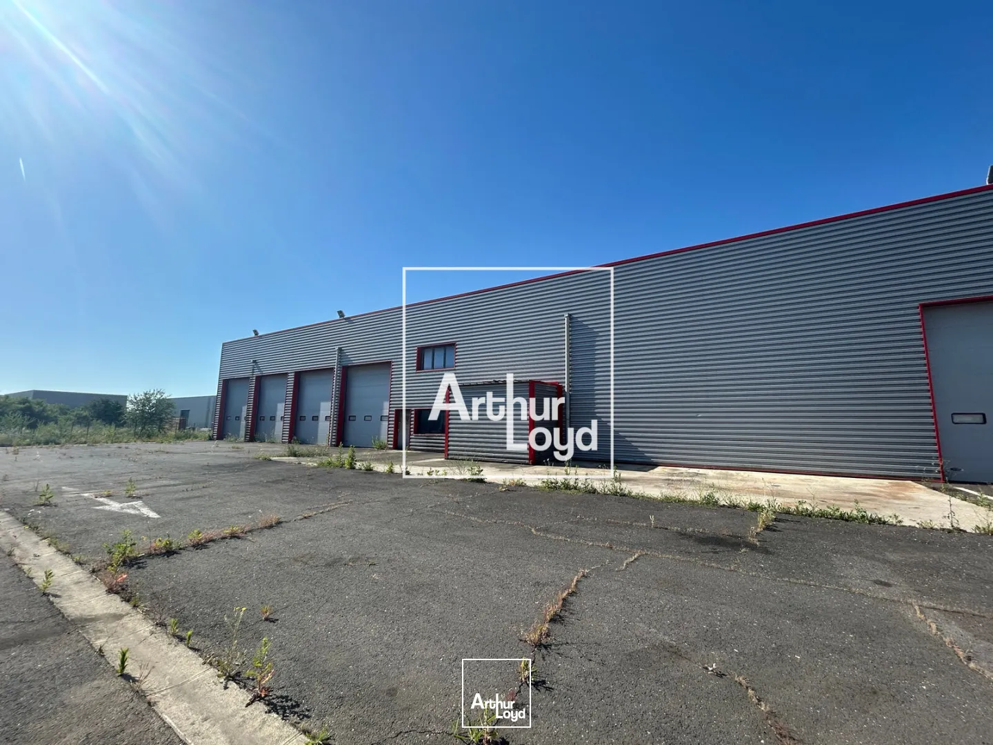 Locaux d'activité & Entrepôts - Vente - SAINT JEAN DE VEDAS - 34430 - 2316-2316 - 7794679