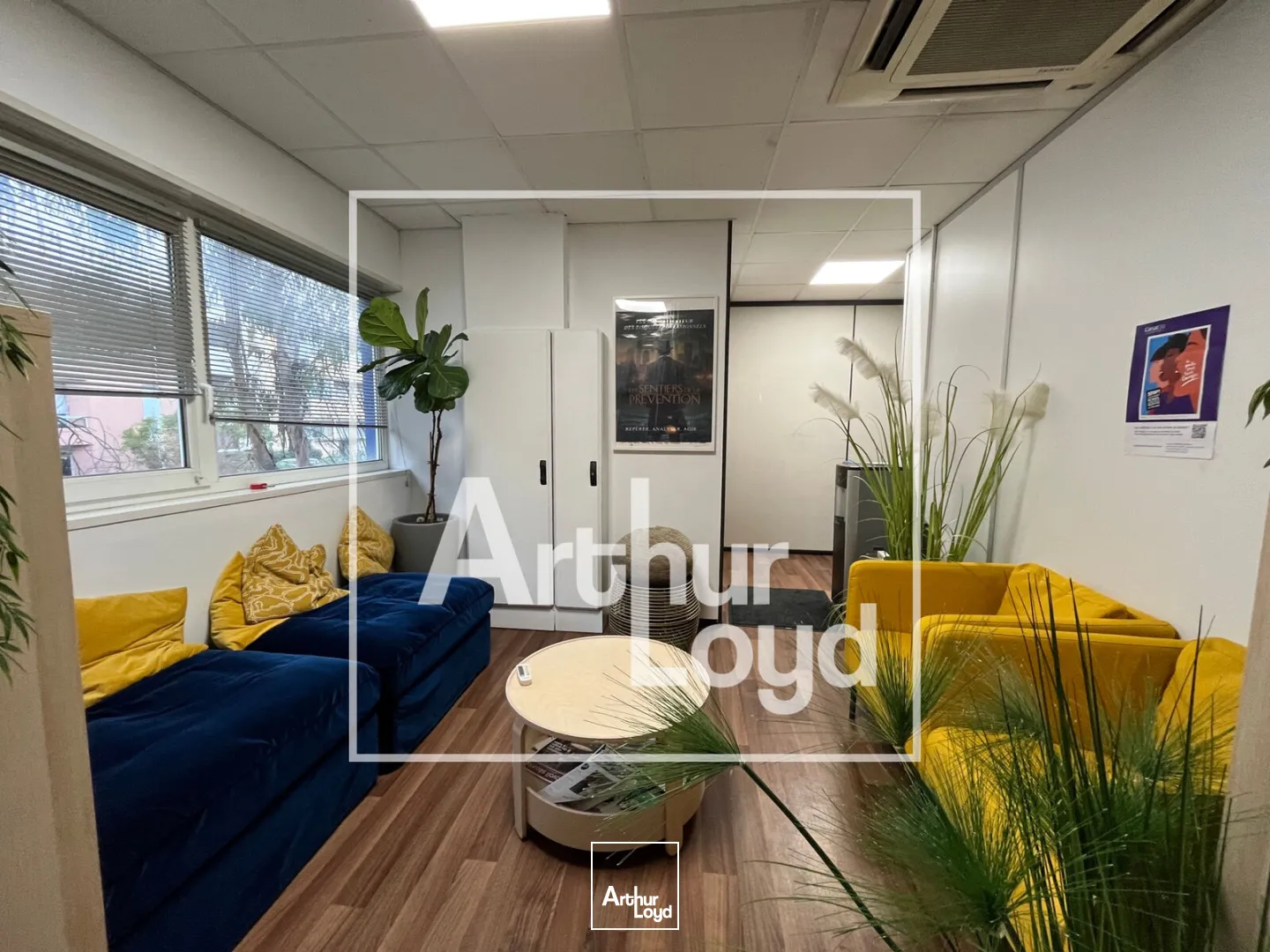 Bureaux - Location - MONTPELLIER - 34070 - 1035-1035 - 7794681