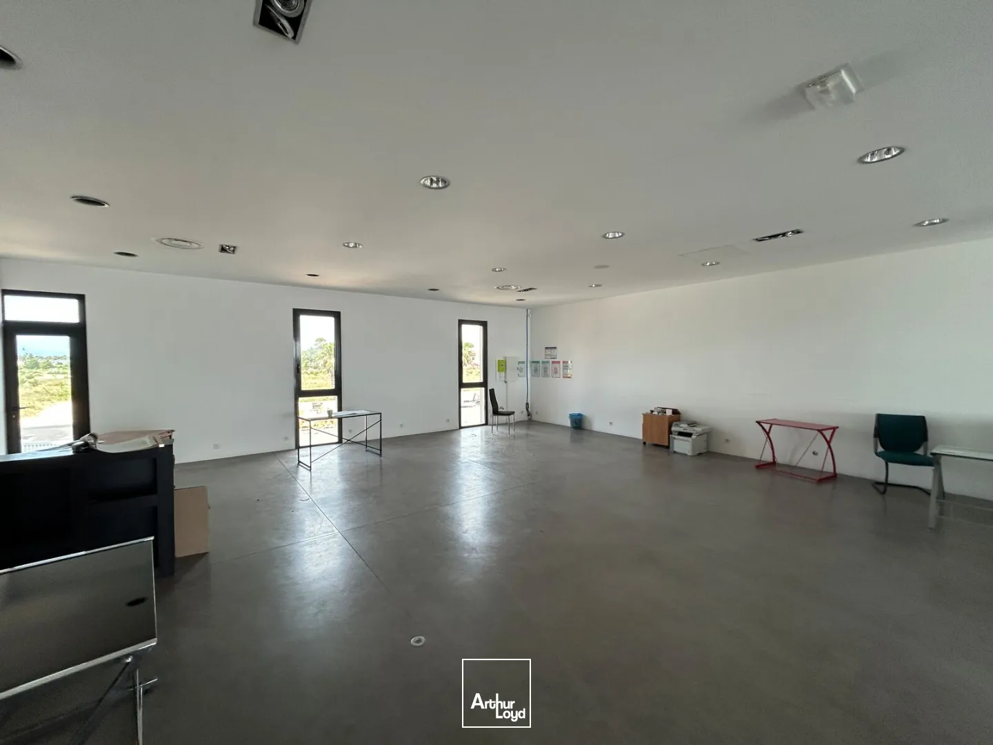 Locaux commerciaux - Location - PERPIGNAN - 66100 - 224-224 - 7794811
