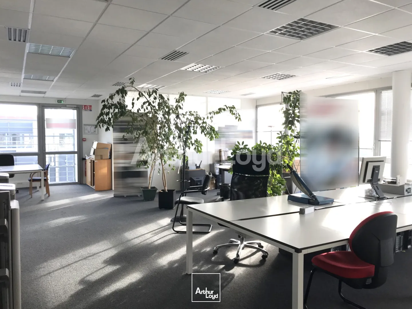 Bureaux - Location - VILLENEUVE D'ASCQ - 59650 - 180-3650 - 7794951