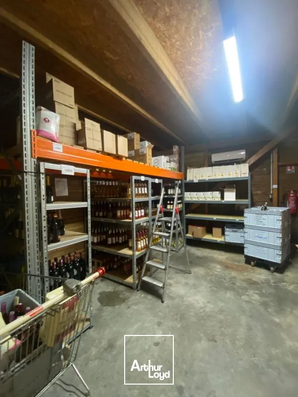 Locaux d'activité & Entrepôts - Location - Sainte Luce - 97228 - 265-265 - 7795145