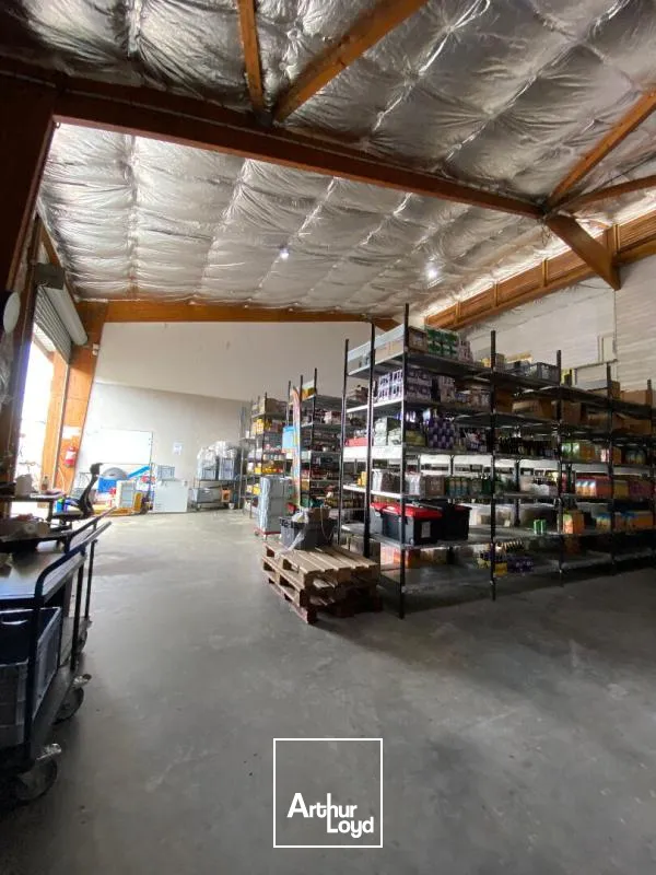 Locaux d'activité & Entrepôts - Location - Sainte Luce - 97228 - 265-265 - 7795146