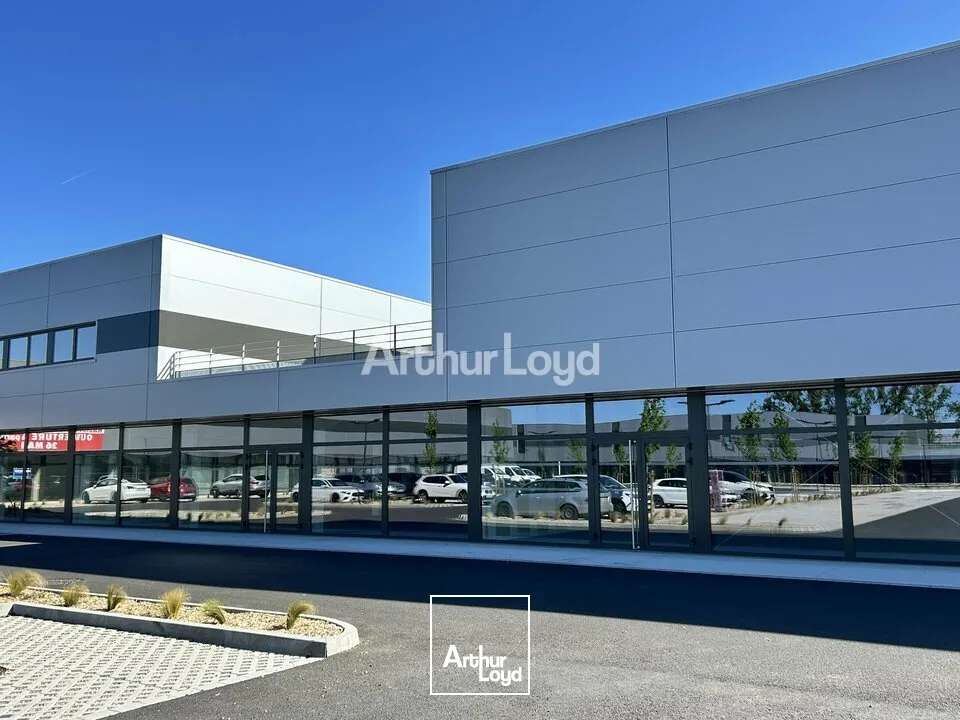Locaux commerciaux - Location - COLMAR - 68000 - 129-419 - 7795189