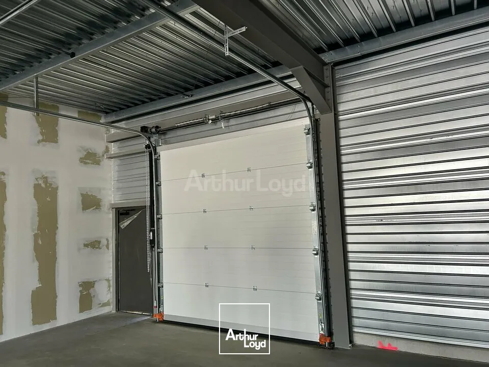 Locaux commerciaux - Location - COLMAR - 68000 - 129-419 - 7795194