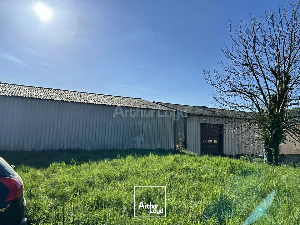 Locaux d'activité & Entrepôts - Vente - MALMERSPACH - 68550 - 320-320 - 7795198