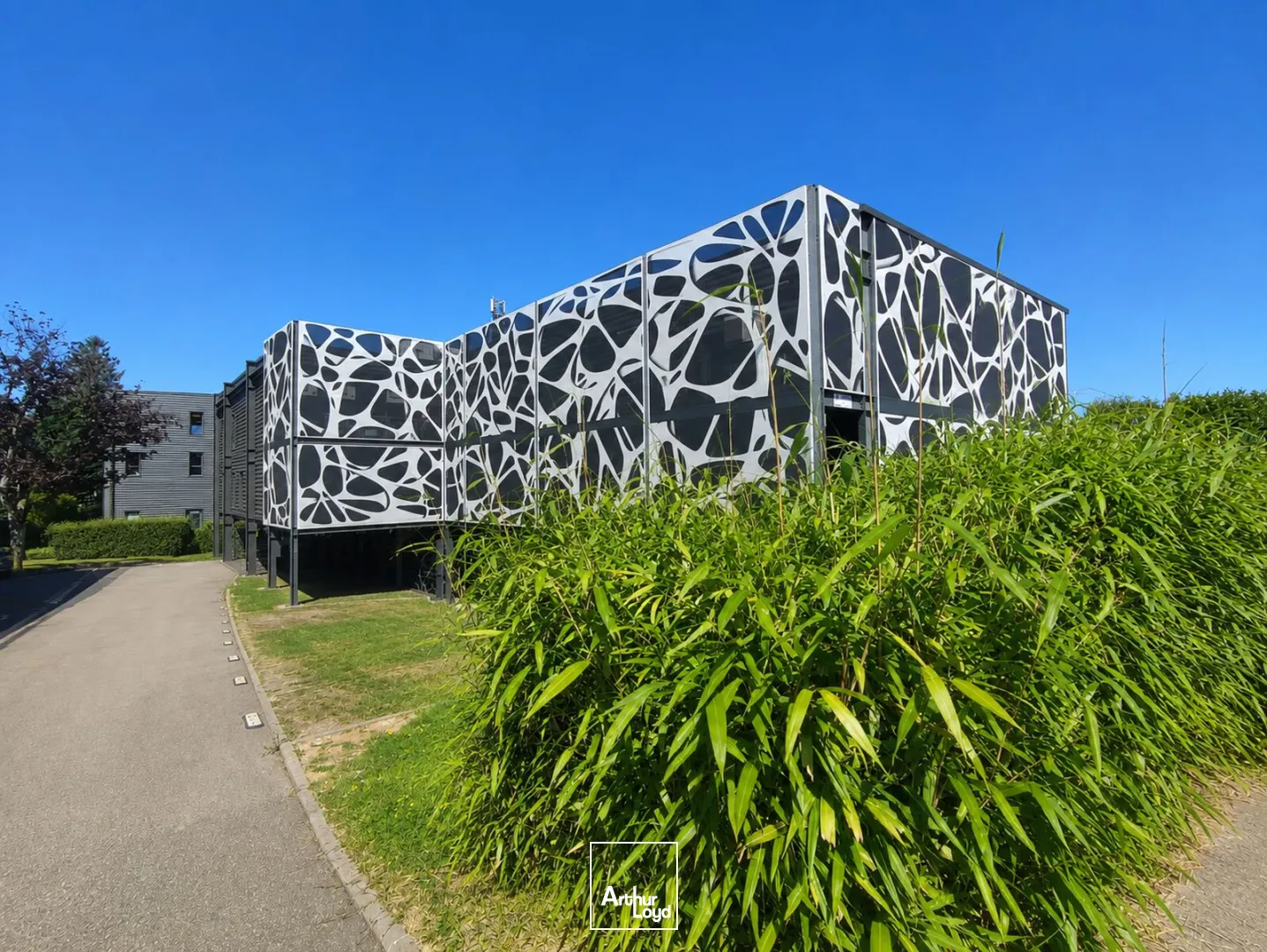 Bureaux - Location - MONT SAINT AIGNAN - 76130 - 243-243 - 7795440