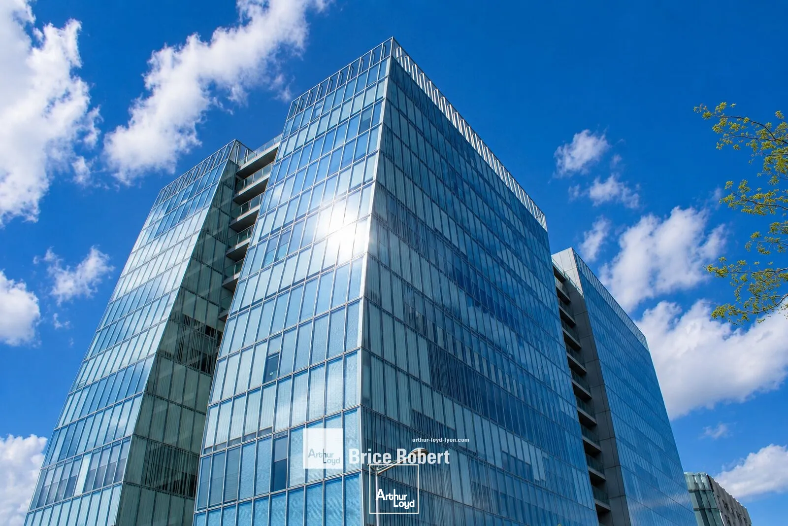 Bureaux - Location - LYON - 69003 - 640.6-640.6 - 7795774