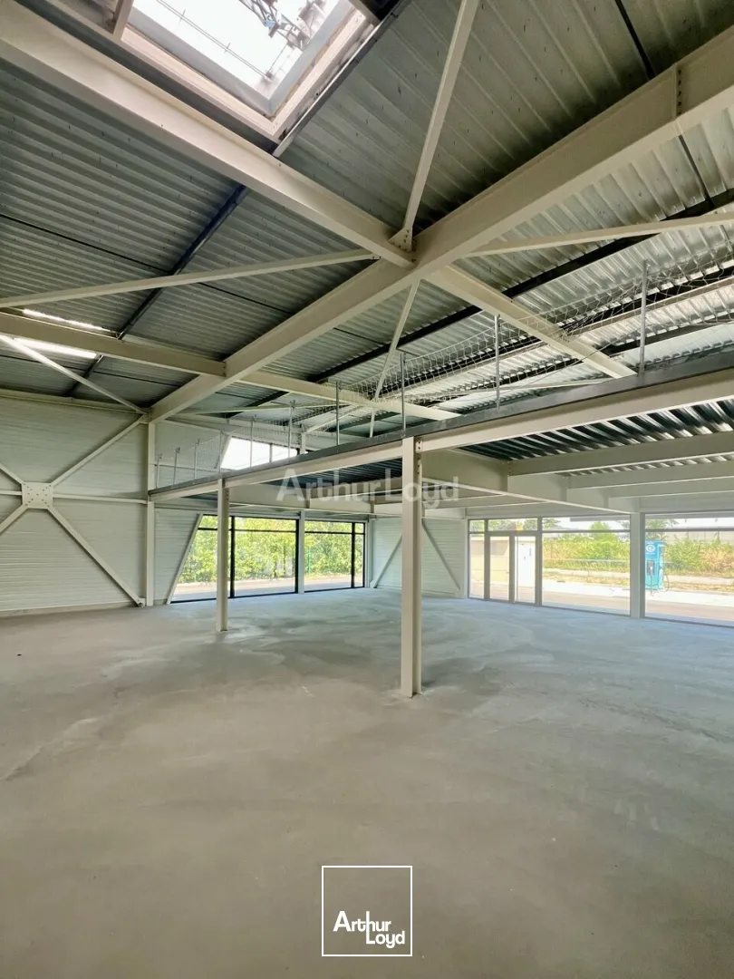 Locaux d'activité & Entrepôts - Location - SAINTE-CROIX-EN-PLAINE - 68127 - 347-1954 - 7795946
