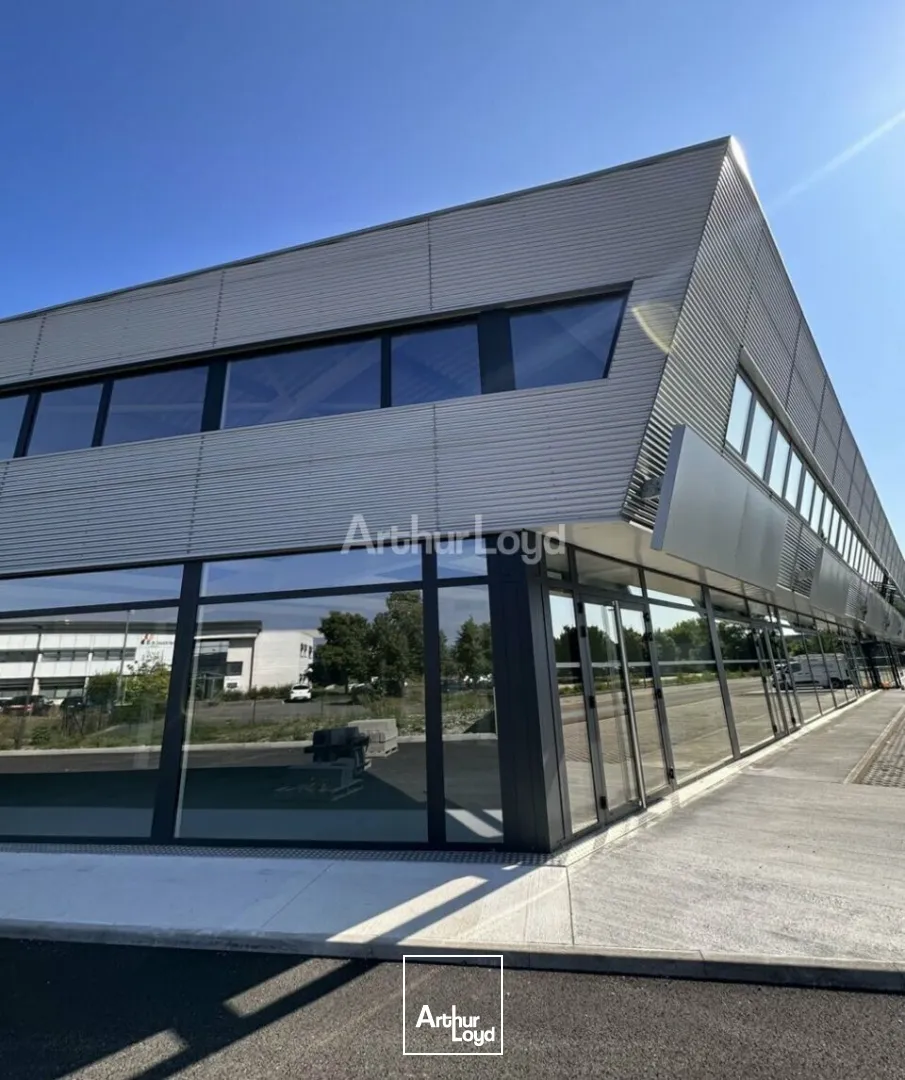 Locaux d'activité & Entrepôts - Location - SAINTE-CROIX-EN-PLAINE - 68127 - 347-1954 - 7795943