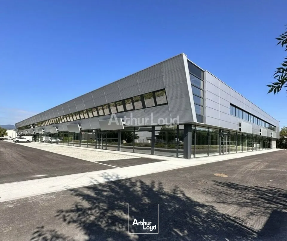 Locaux d'activité & Entrepôts - Location - SAINTE-CROIX-EN-PLAINE - 68127 - 347-1954 - 7795942