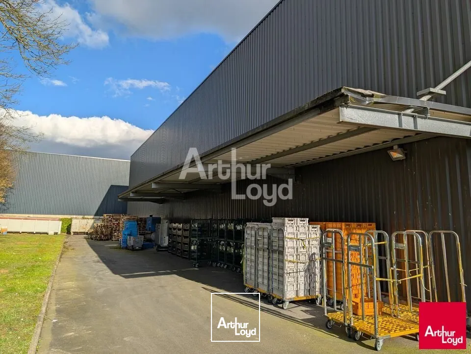 Locaux d'activité & Entrepôts - Location - MELESSE - 35520 - 260-260 - 7796057