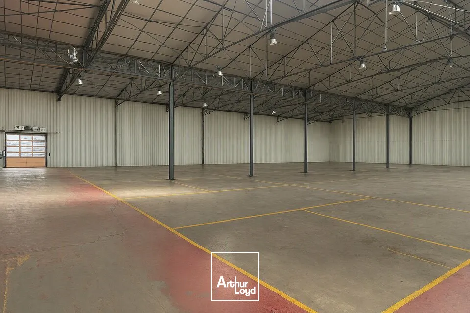 Bureaux - Location - NIORT - 79000 - 8325-8325 - 7796856