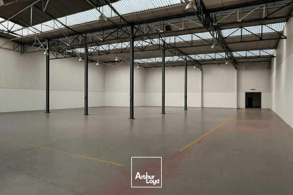 Locaux commerciaux - Location - NIORT - 79000 - 8325-8325 - 7796854