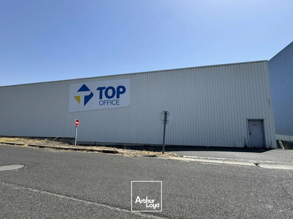 Locaux commerciaux - Location - CHAMBRAY LES TOURS - 37170 - 1236-1236 - 7796894