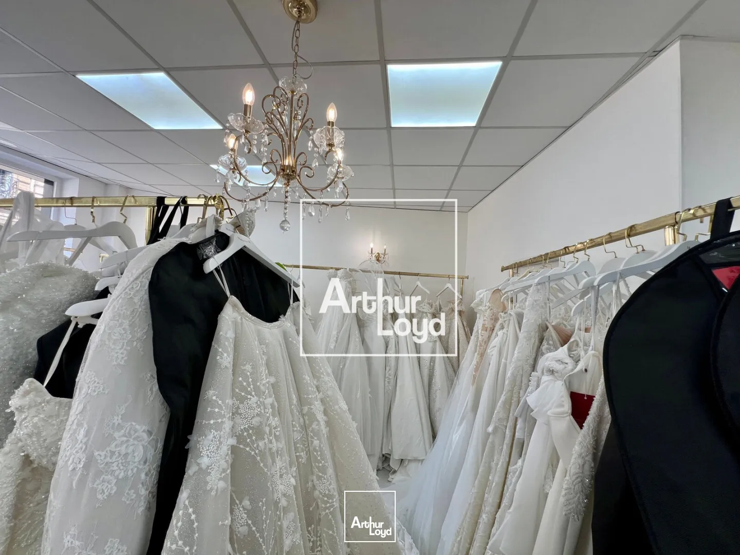 Locaux commerciaux - Location - MONTPELLIER - 34000 - 62-62 - 7796920