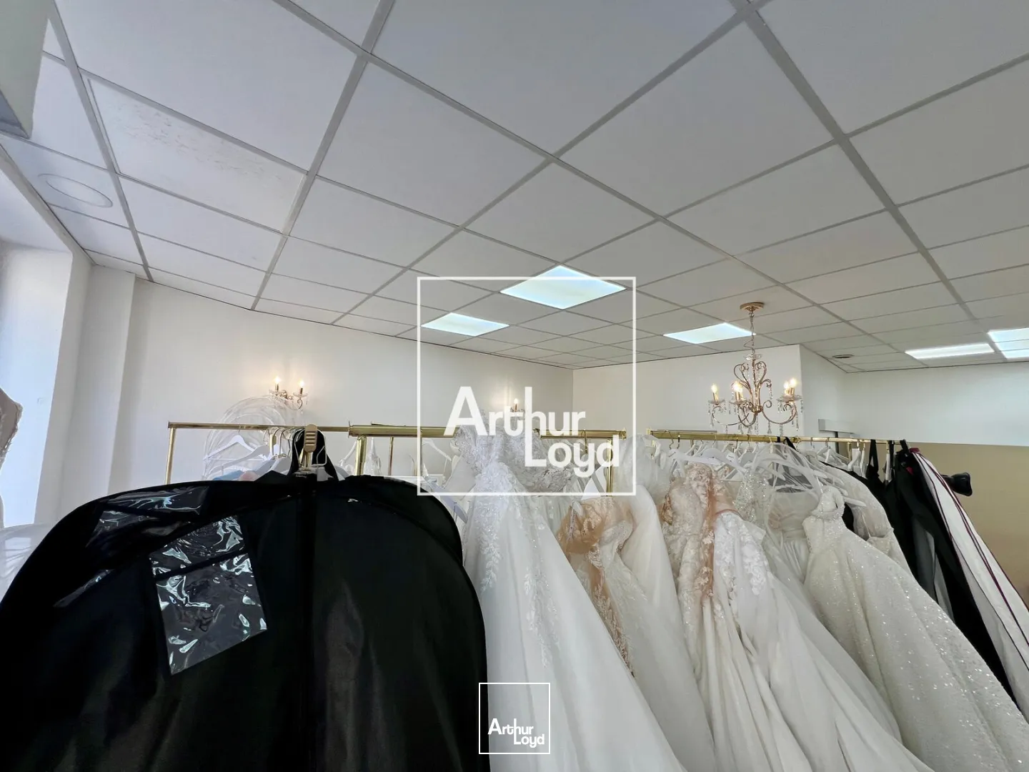 Locaux commerciaux - Location - MONTPELLIER - 34000 - 62-62 - 7796923