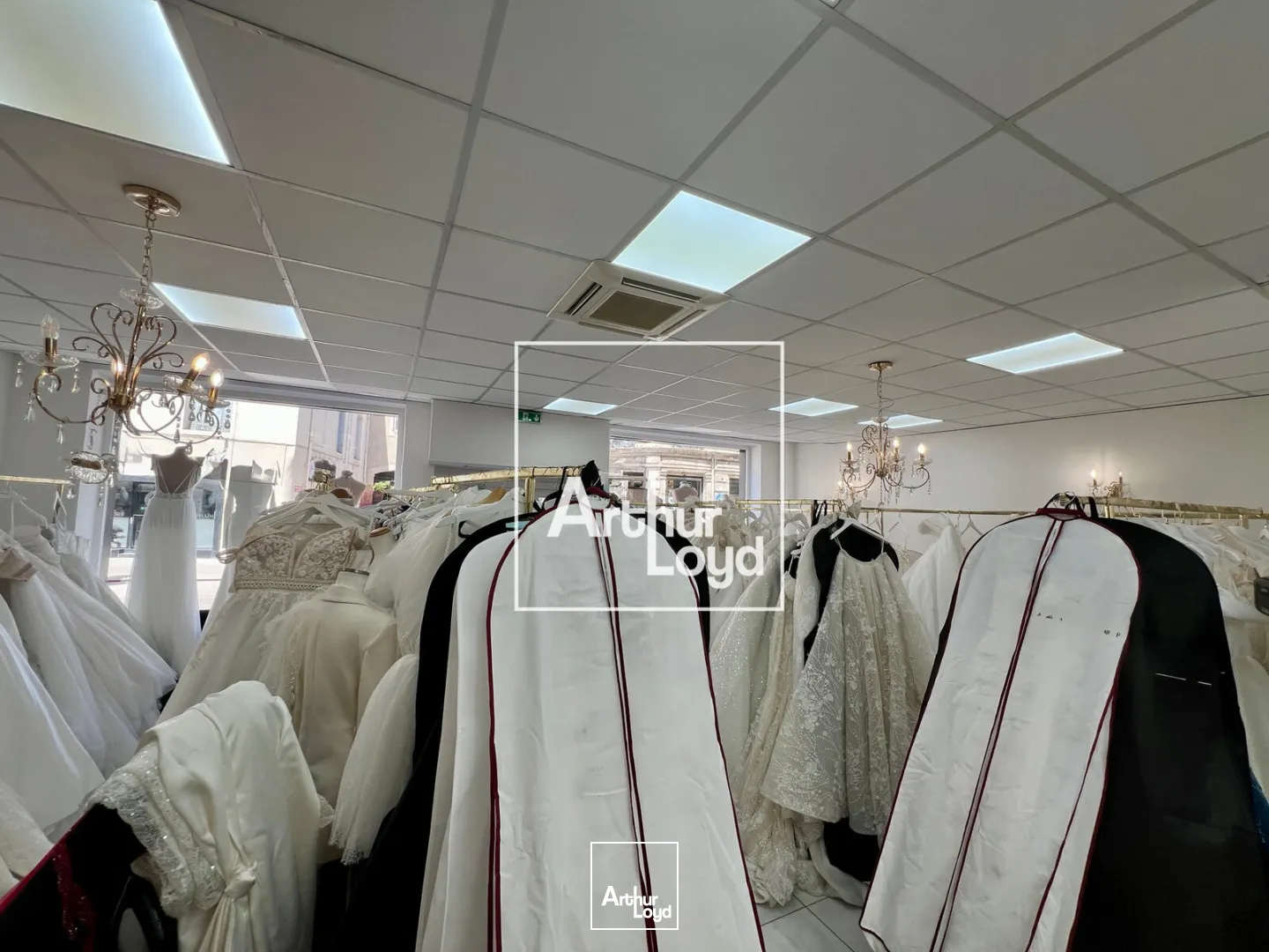 Locaux commerciaux - Location - MONTPELLIER - 34000 - 62-62 - 7796927