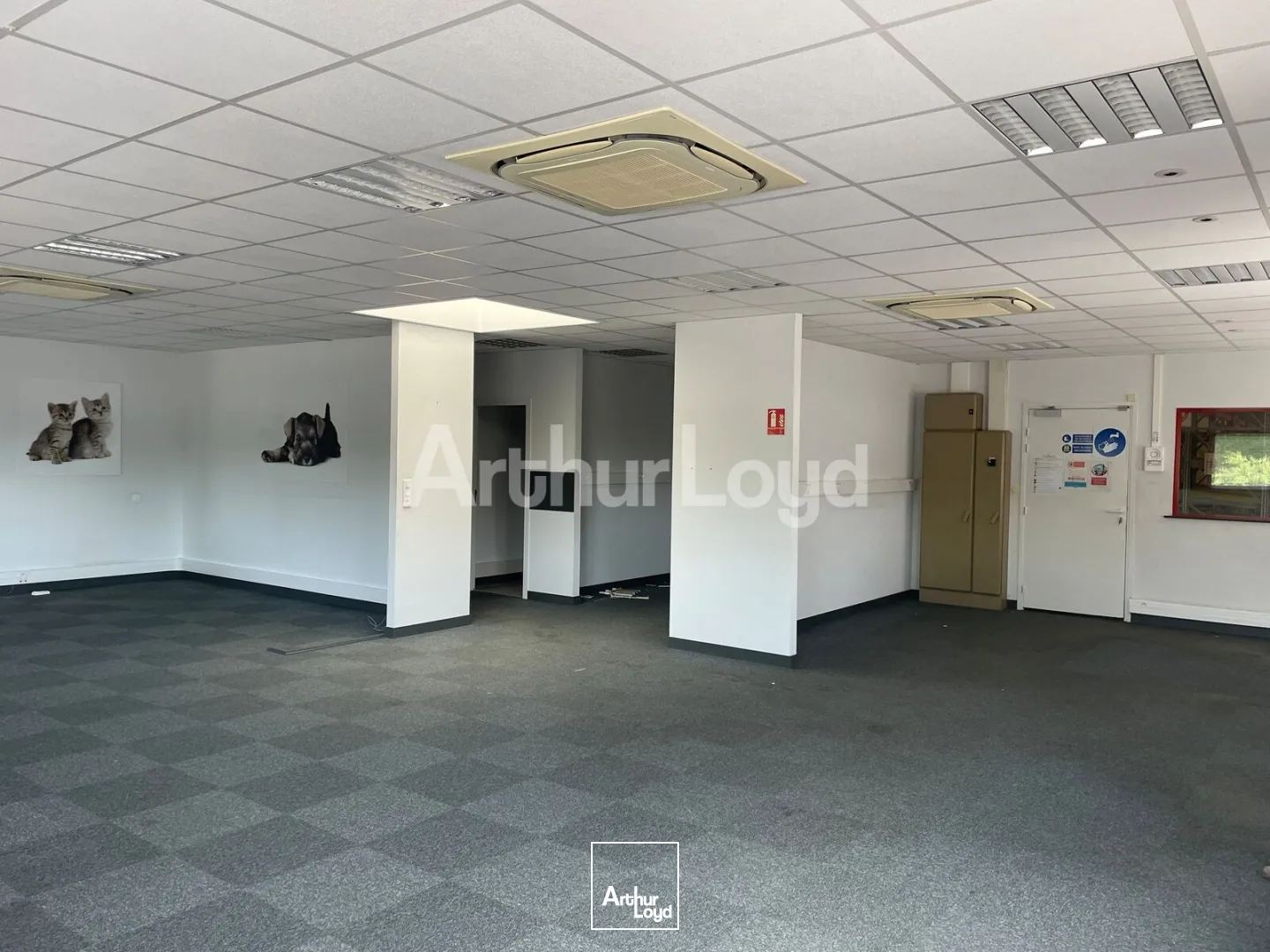 Locaux d'activité & Entrepôts - Location - RAILLENCOURT SAINTE OLLE - 59554 - 1250-1250 - 7797370