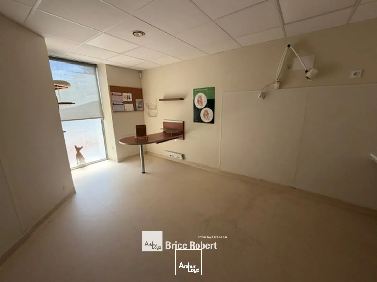 Locaux commerciaux - Location - LYON - 69008 - 130-130 - 7797466