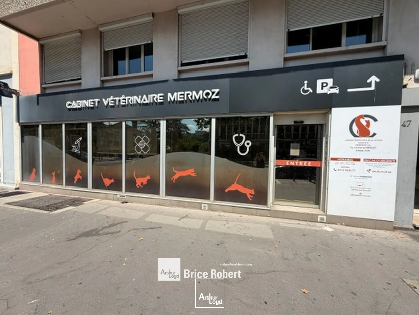 Locaux commerciaux - Location - LYON - 69008 - 130-130 - 7797464