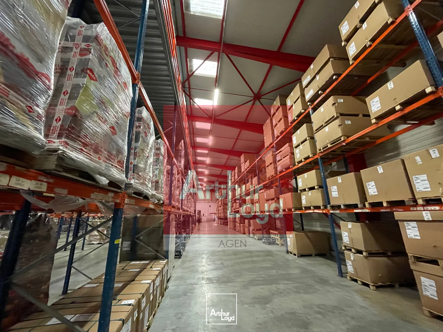 Locaux d'activité & Entrepôts - Location - BOE - 47550 - 5903-5903 - 7798689