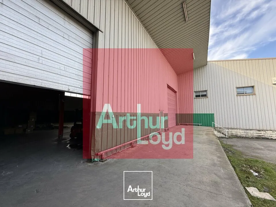 Locaux d'activité & Entrepôts - Vente - LAFRANCAISE - 82130 - 2890-2890 - 7799062