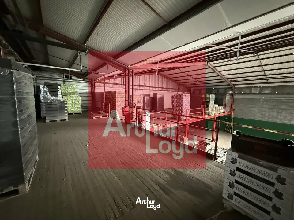 Locaux d'activité & Entrepôts - Vente - LAFRANCAISE - 82130 - 2890-2890 - 7799064
