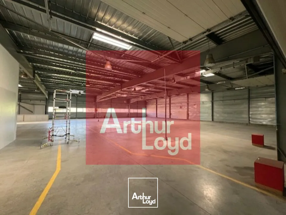 Locaux d'activité & Entrepôts - Vente - SAINT ETIENNE DE FOUGERES - 47380 - 2185-2185 - 7799086