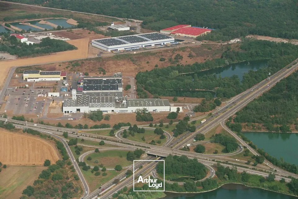 Locaux d'activité & Entrepôts - Location - CERNAY - 68700 - 5250-5250 - 7799116