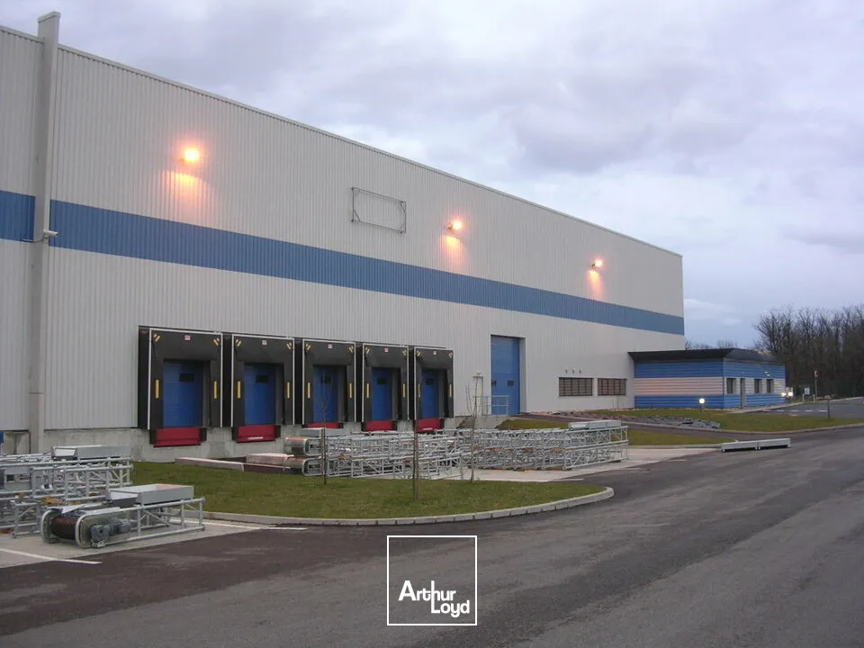 Locaux d'activité & Entrepôts - Location - CERNAY - 68700 - 5250-5250 - 7799117