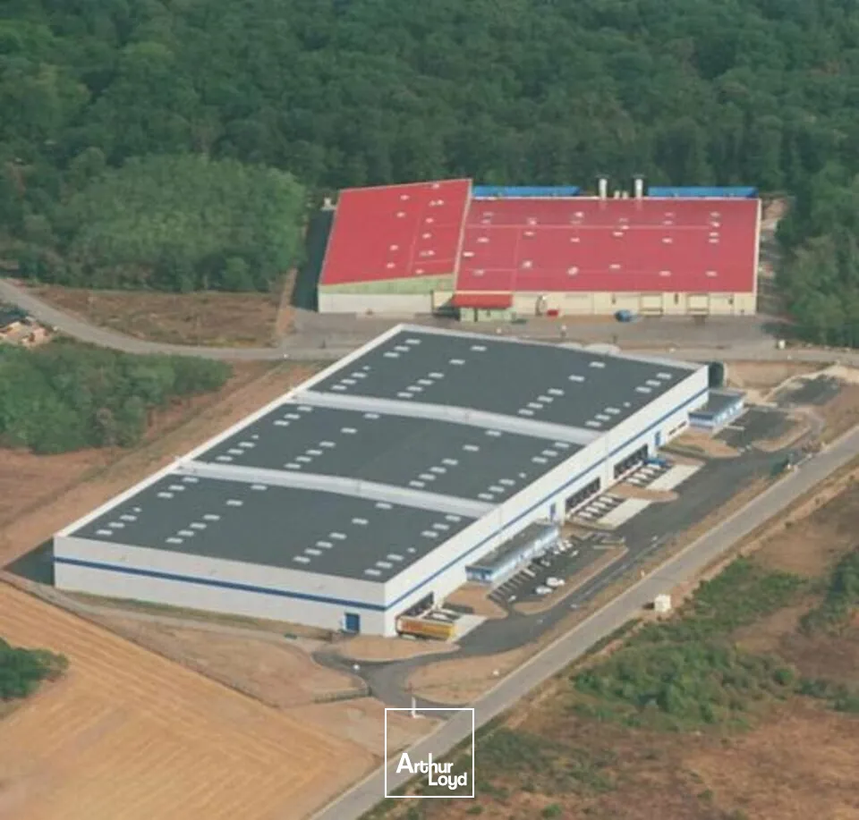 Locaux d'activité & Entrepôts - Location - CERNAY - 68700 - 5250-5250 - 7799118