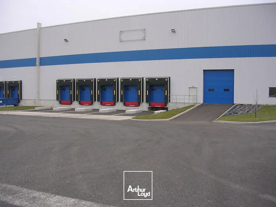 Locaux d'activité & Entrepôts - Location - CERNAY - 68700 - 5250-5250 - 7799119