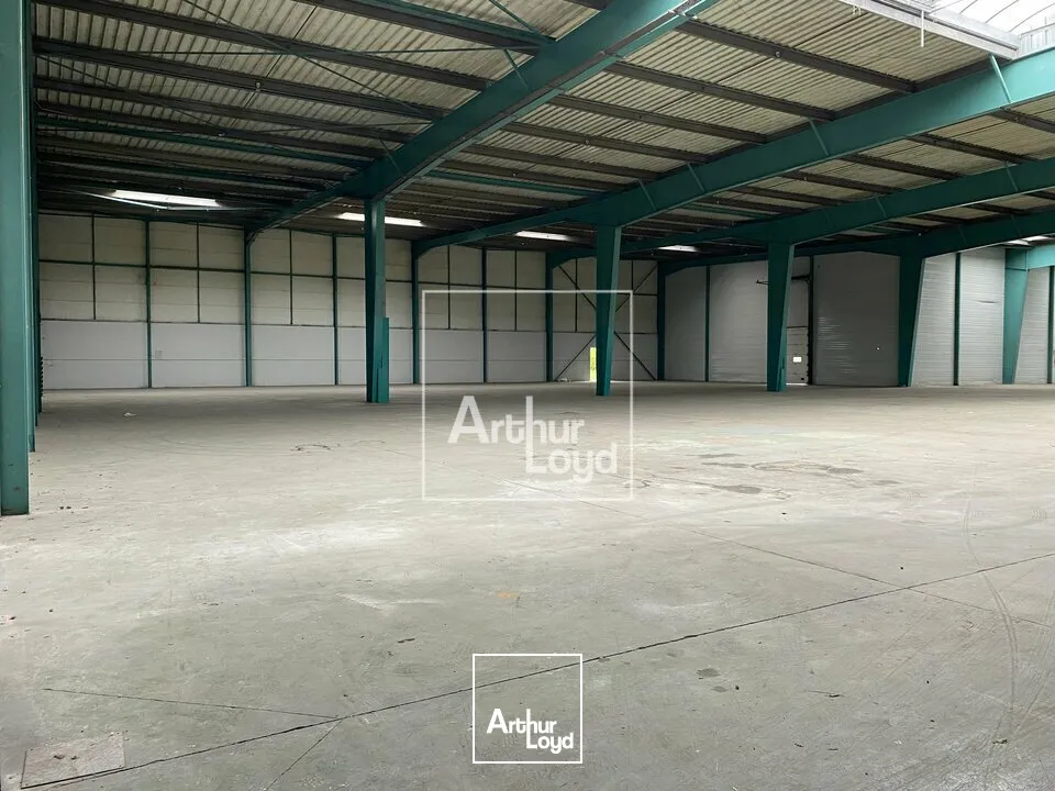 Locaux d'activité & Entrepôts - Location - LIEUSAINT - 77127 - 824-824 - 7799205