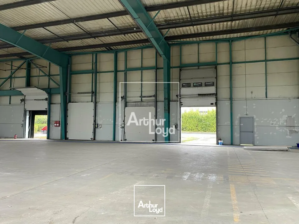 Locaux d'activité & Entrepôts - Location - LIEUSAINT - 77127 - 824-824 - 7799204
