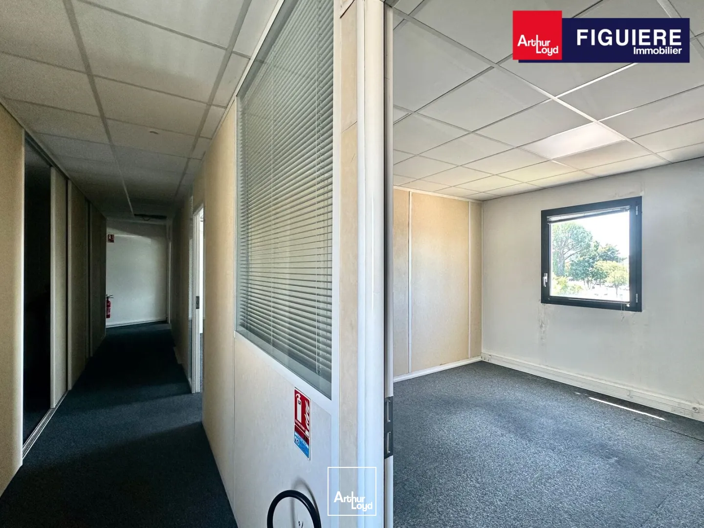Locaux d'activité & Entrepôts - Location - AIX EN PROVENCE - 13290 - 313-313 - 7799348