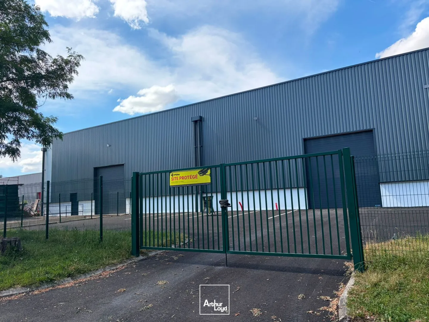 Locaux d'activité & Entrepôts - Location - SAINT OUEN L'AUMONE - 95310 - 2753-2753 - 7799694