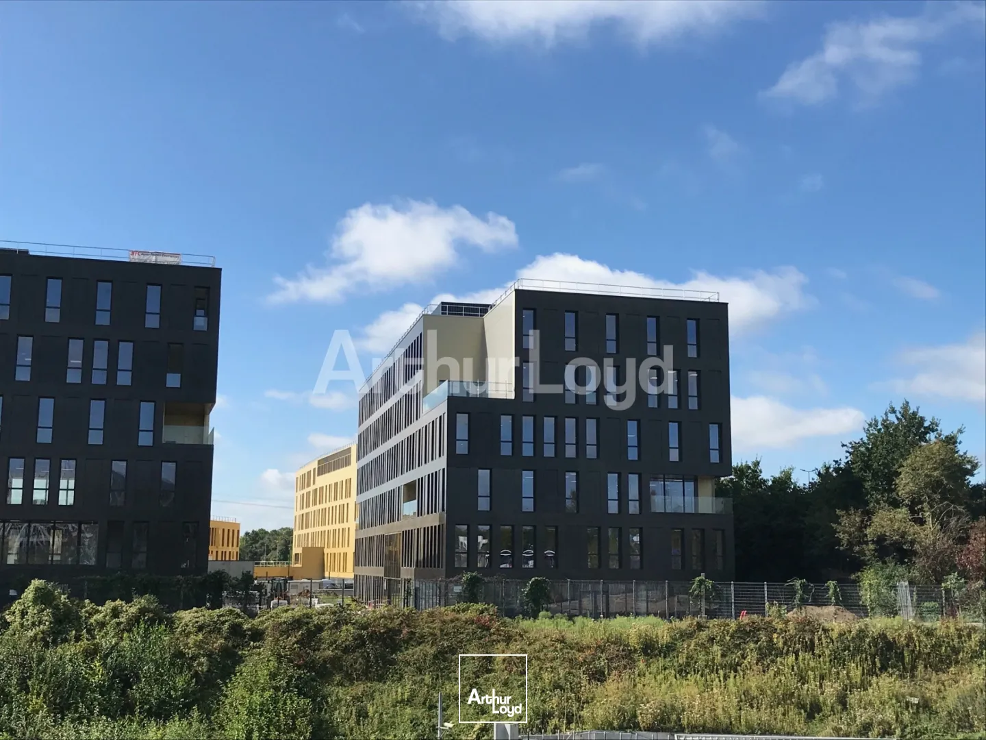Bureaux - Location - VILLENEUVE D'ASCQ - 59650 - 180-3670.1 - 7799758