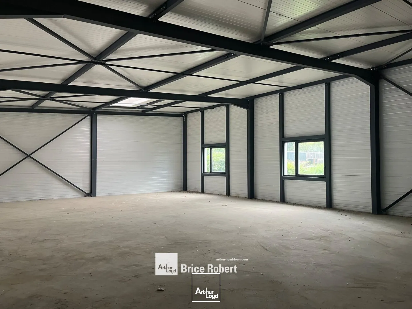 Locaux d'activité & Entrepôts - Vente - TREVOUX - 01600 - 187-187 - 7799899