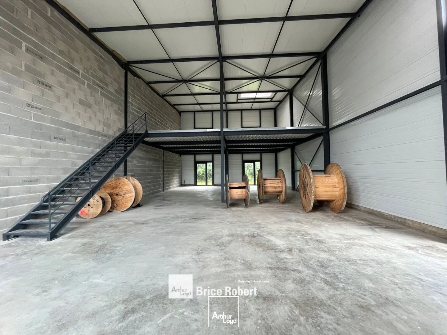 Locaux d'activité & Entrepôts - Vente - TREVOUX - 01600 - 187-187 - 7799898