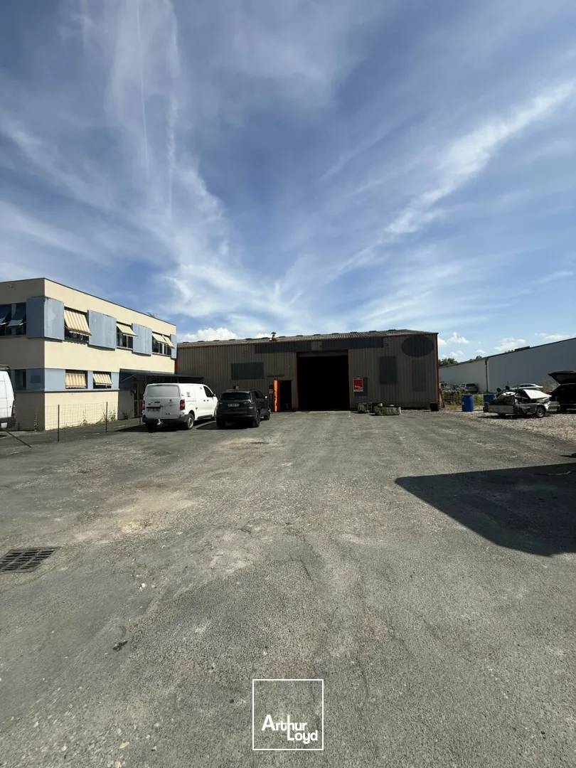 Locaux d'activité & Entrepôts - Location - BRIVE-LA-GAILLARDE - 19100 - 359.99-359.99 - 7800017