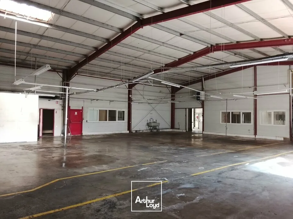 Locaux d'activité & Entrepôts - Location - CRISSEY - 71530 - 1360-1360 - 7800032