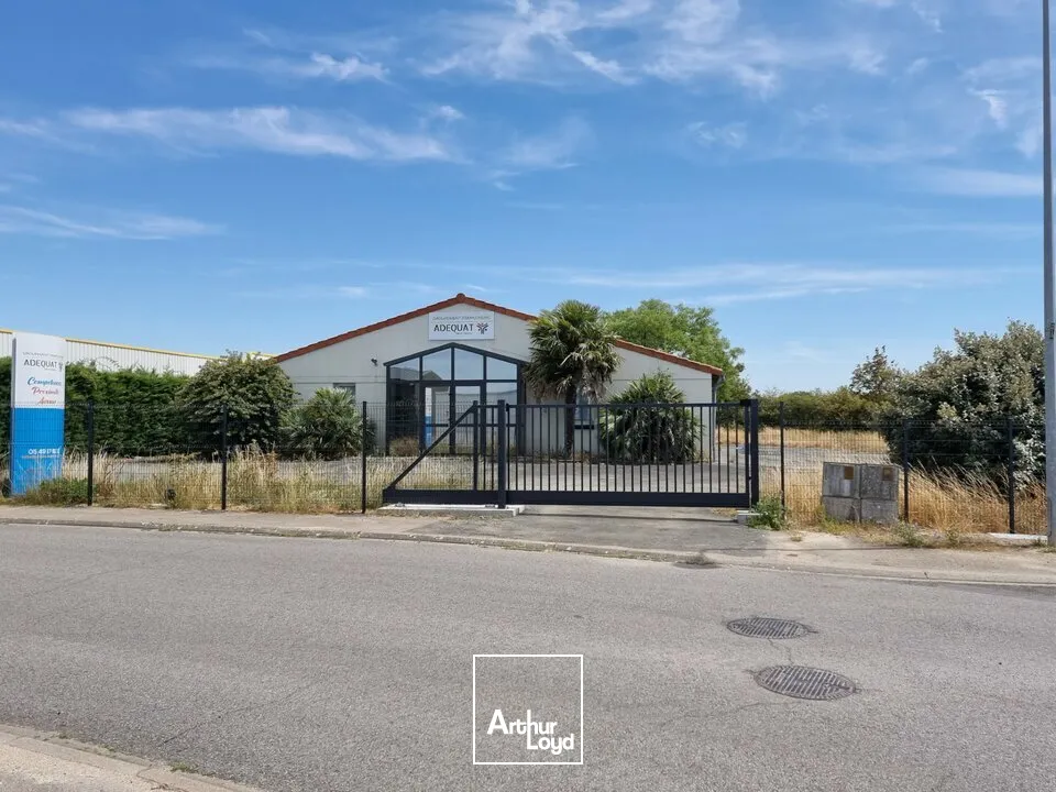 Bureaux - Location - NIORT - 79000 - 217-217 - 7800047